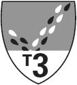 T3